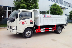 程力威牌垃圾轉(zhuǎn)運(yùn)自卸車圖片