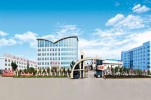 隨州程力集團工業(yè)總產(chǎn)值突破50億元